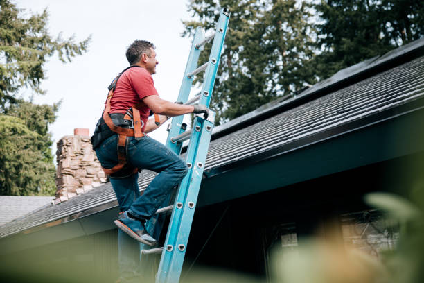 Best Roof Moss and Algae Removal  in Bethany, OR